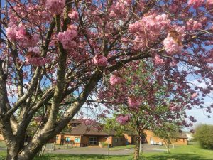 calside spring