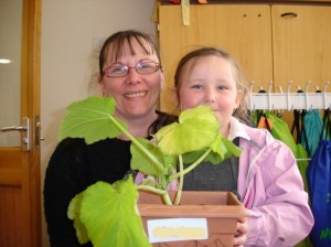 courgette 2