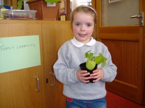 plants 2