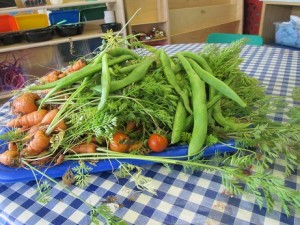 veg