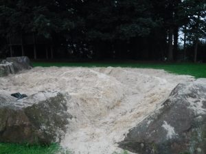 DSCF0611