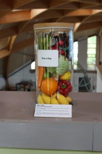 sustainability-268